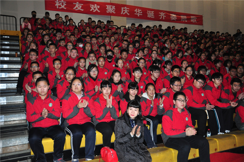 电子pg下载入口