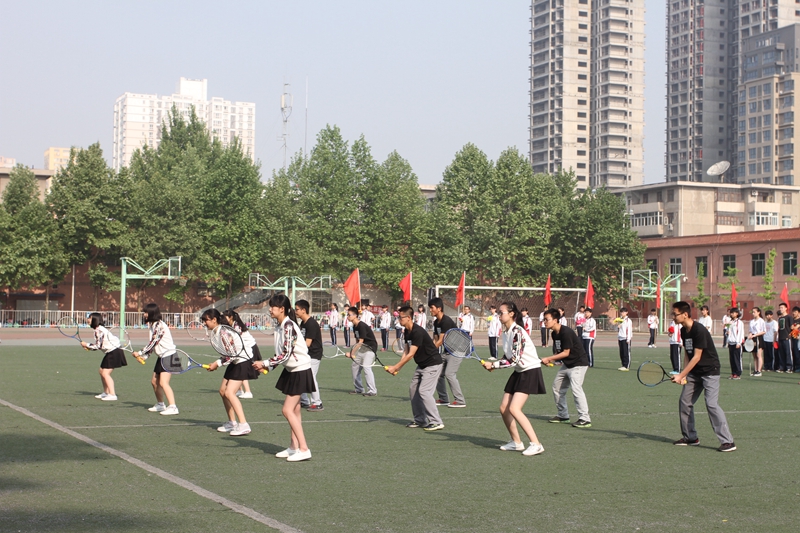 电子pg下载入口