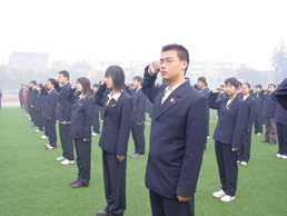 电子pg下载入口