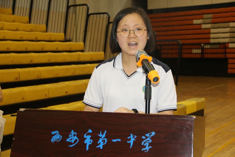 电子pg下载入口