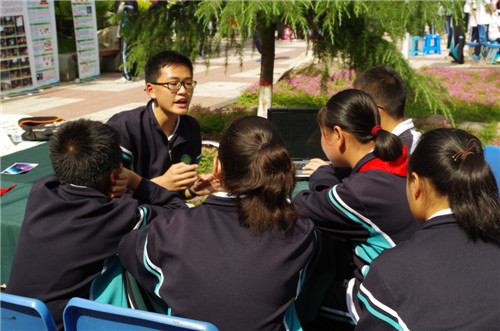 电子pg下载入口