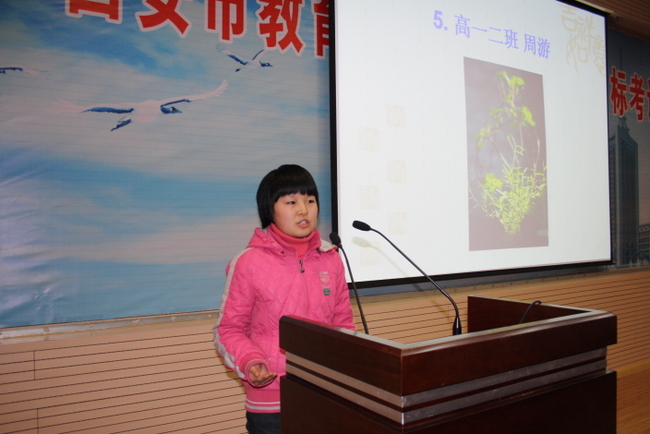 电子pg下载入口