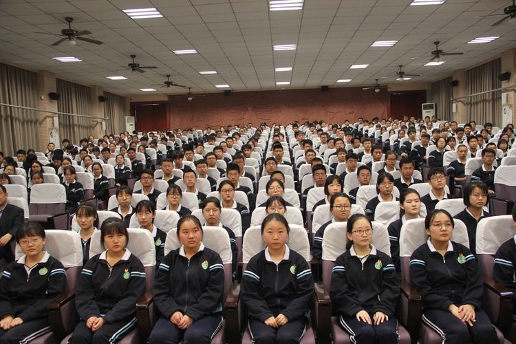 电子pg下载入口