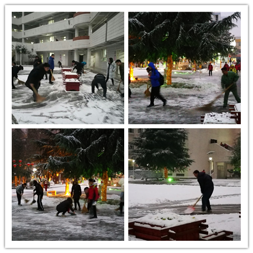 电子pg下载入口