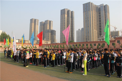 电子pg下载入口