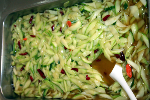 电子pg下载入口