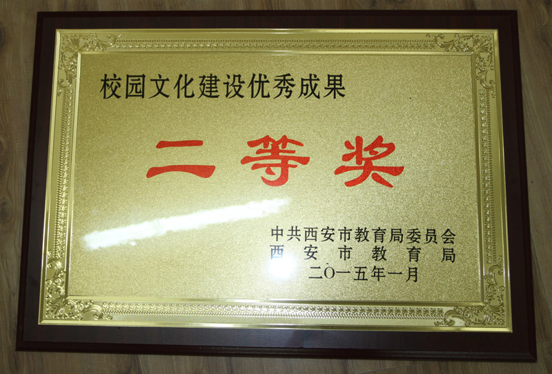 电子pg下载入口