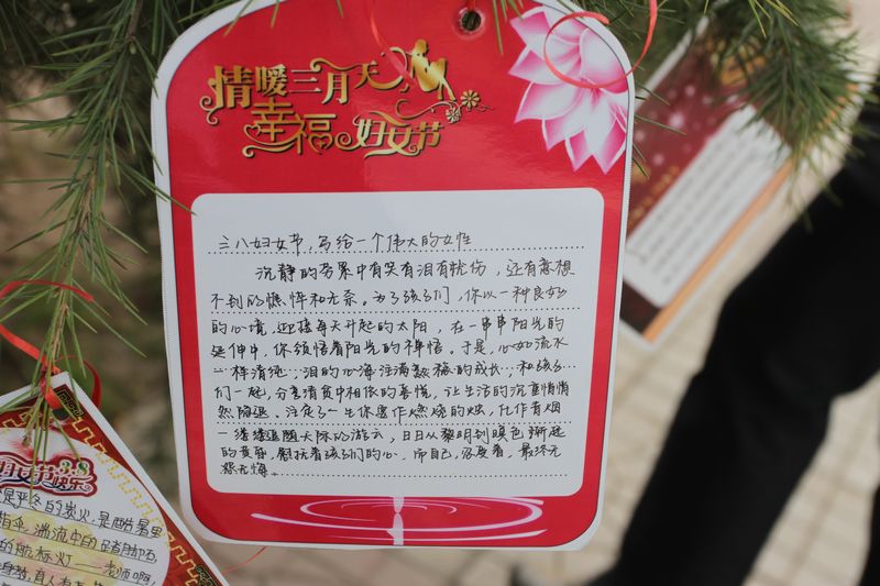 电子pg下载入口