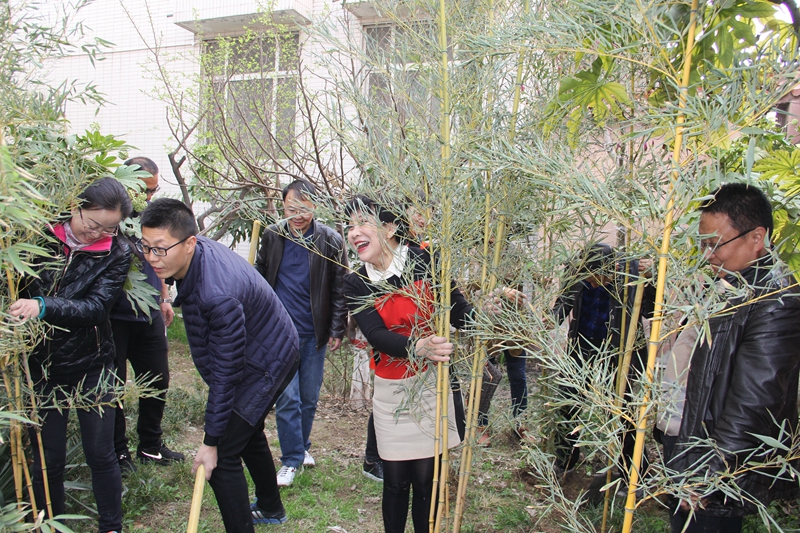 电子pg下载入口