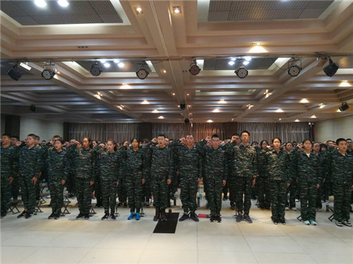 电子pg下载入口