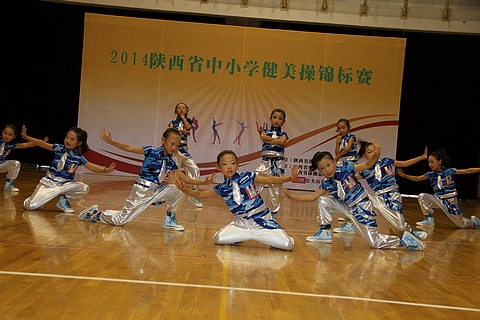 电子pg下载入口