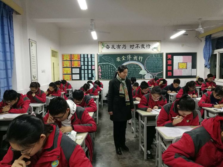 电子pg下载入口