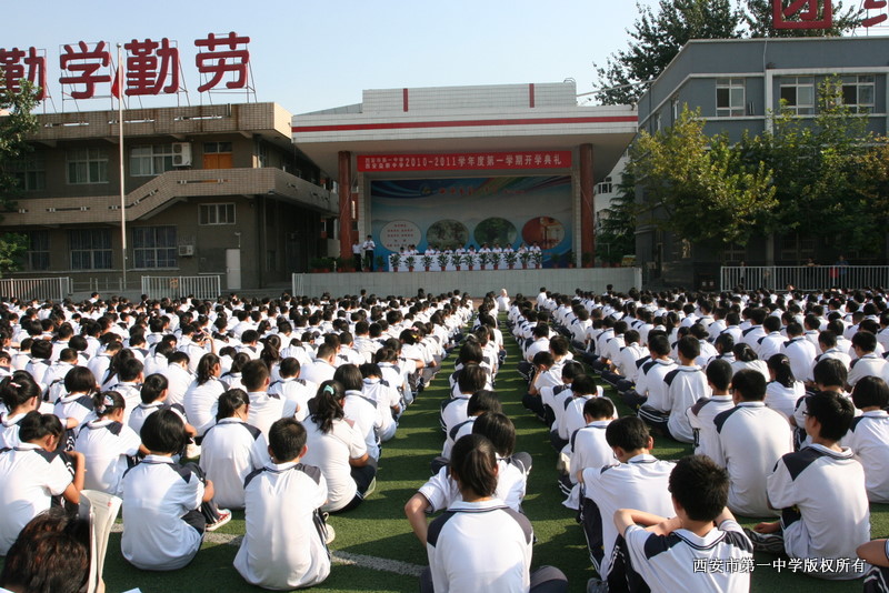 电子pg下载入口