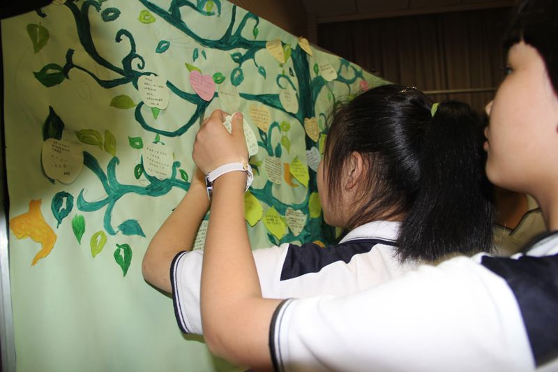 电子pg下载入口