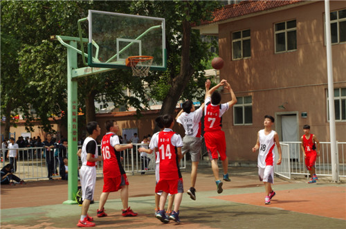 电子pg下载入口