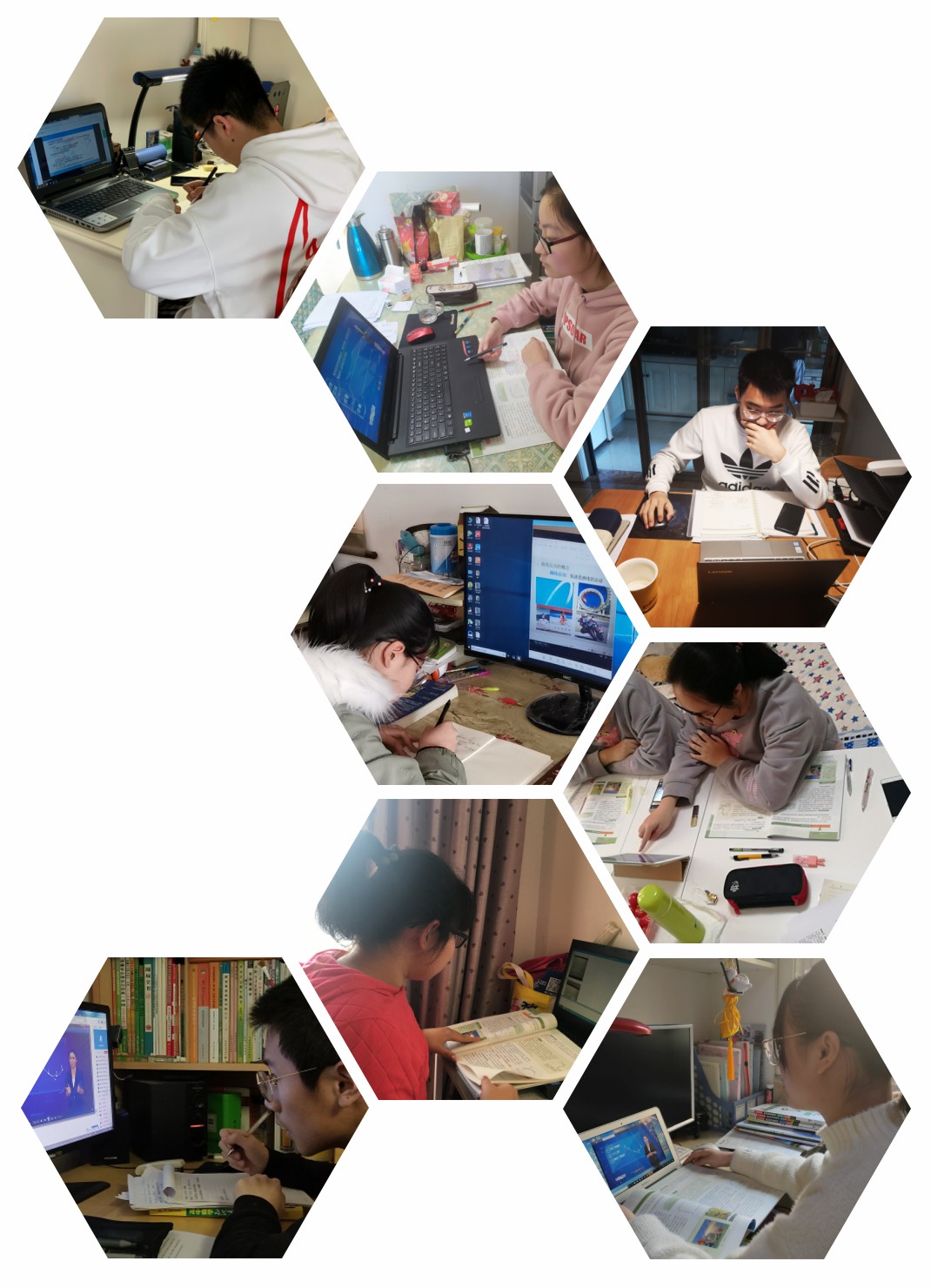 电子pg下载入口