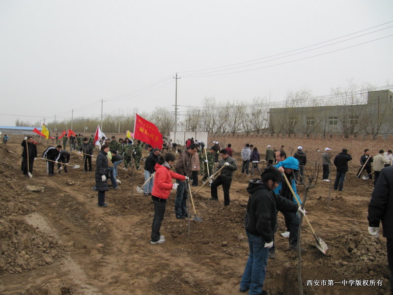 电子pg下载入口