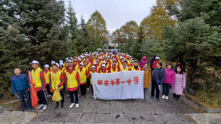 电子pg下载入口