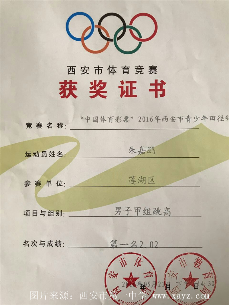 电子pg下载入口