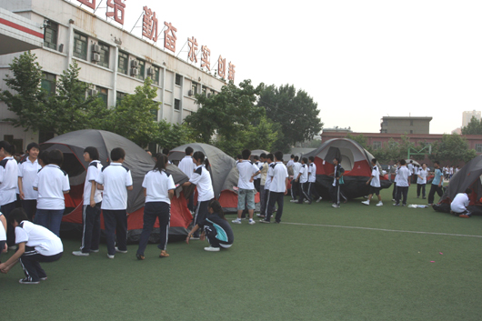 电子pg下载入口