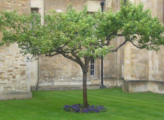 电子pg下载入口