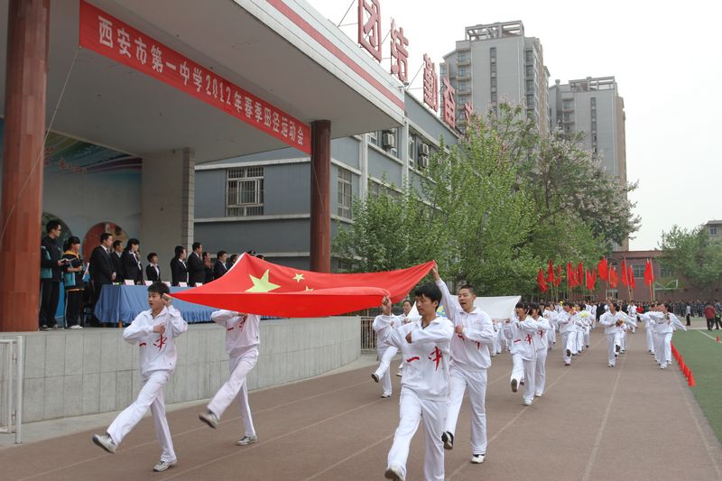 电子pg下载入口