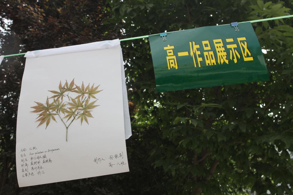 电子pg下载入口