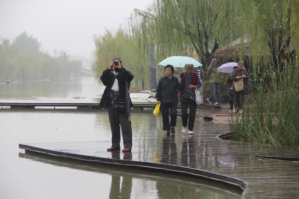 电子pg下载入口