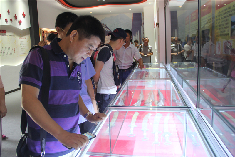 电子pg下载入口