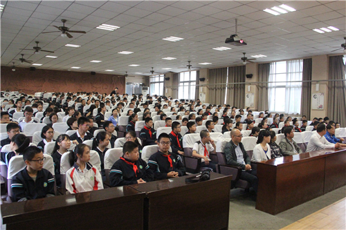 电子pg下载入口