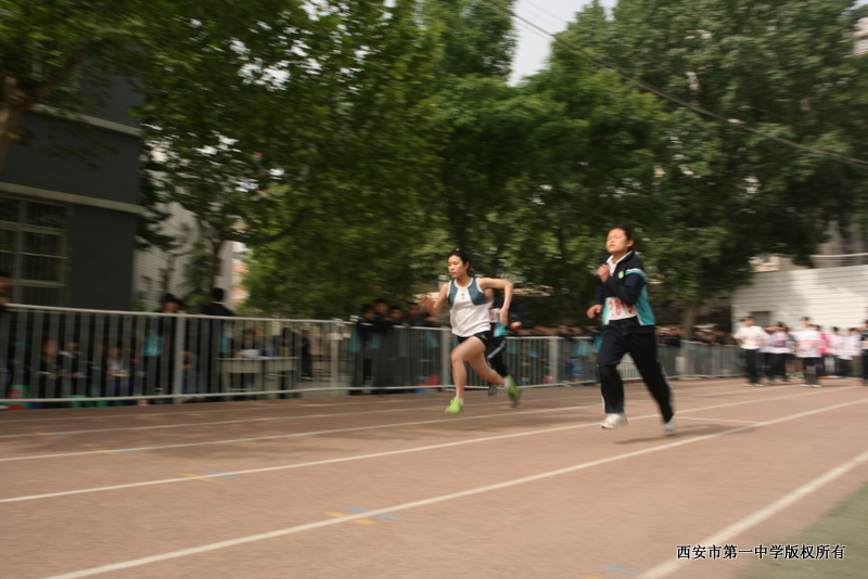 电子pg下载入口