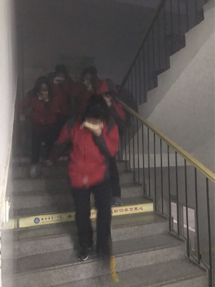 电子pg下载入口