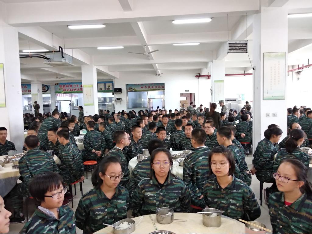 电子pg下载入口