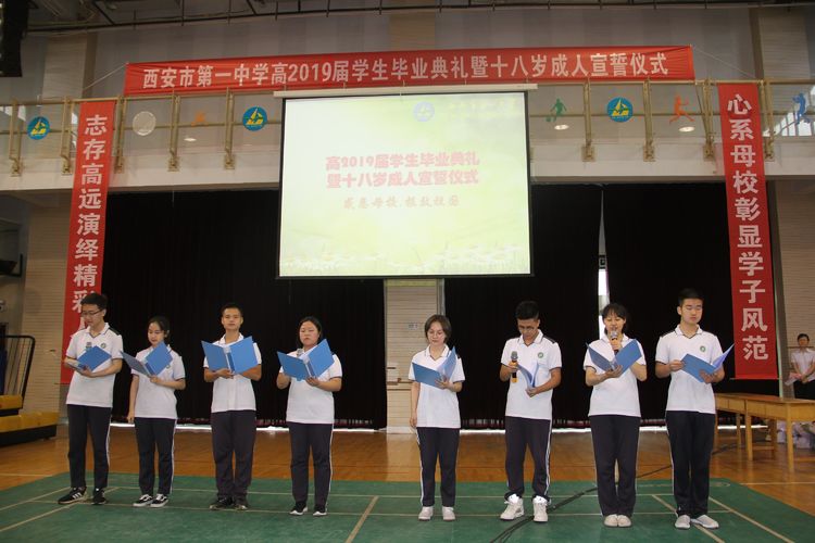 电子pg下载入口