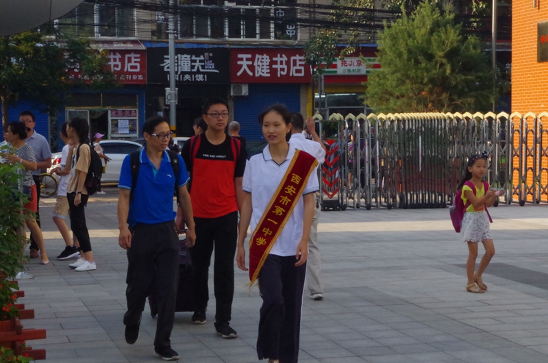 电子pg下载入口