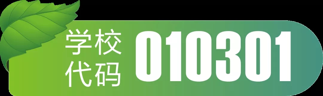 电子pg下载入口