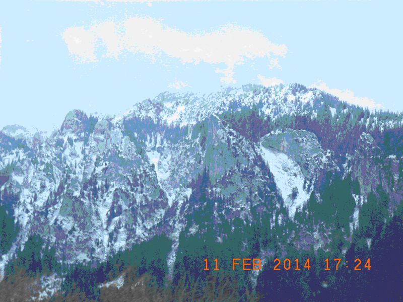 电子pg下载入口