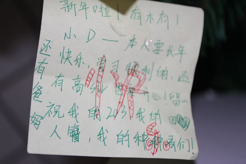 电子pg下载入口