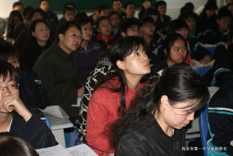 电子pg下载入口