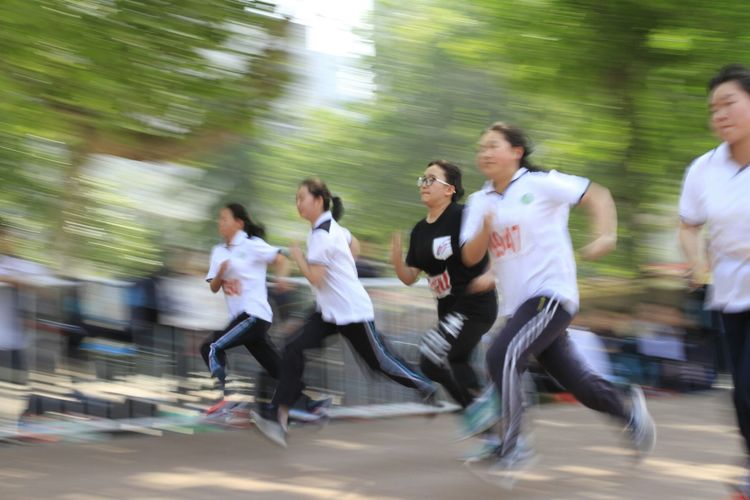 电子pg下载入口