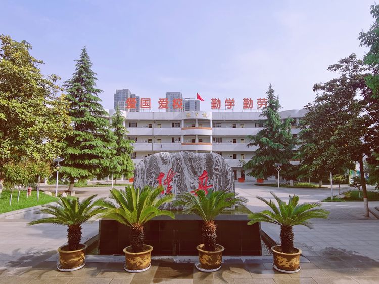 电子pg下载入口