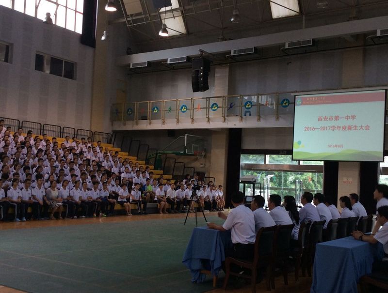 电子pg下载入口