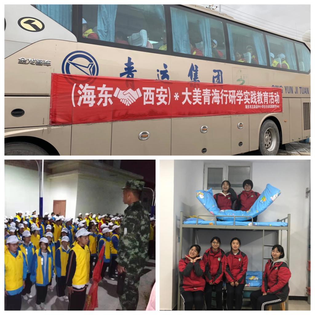 电子pg下载入口