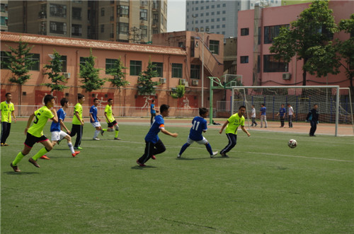 电子pg下载入口