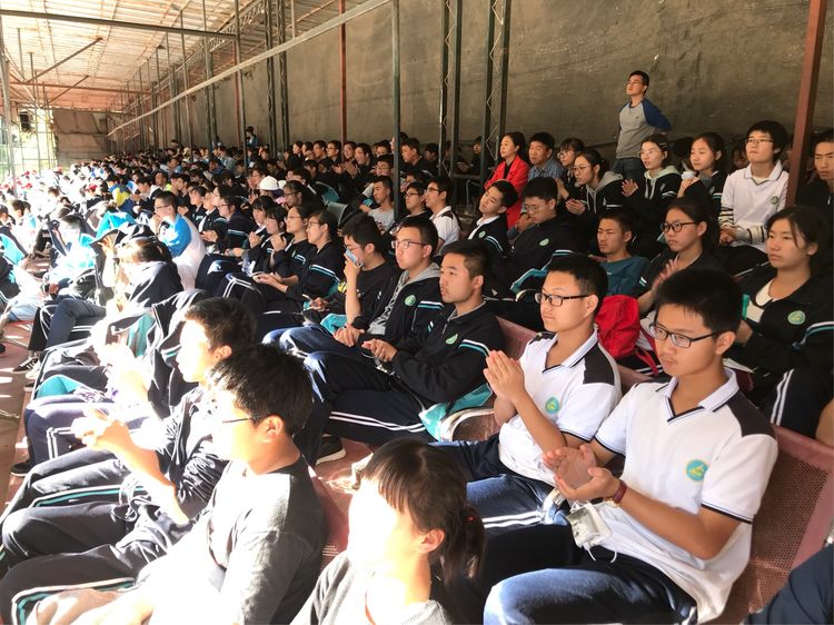 电子pg下载入口