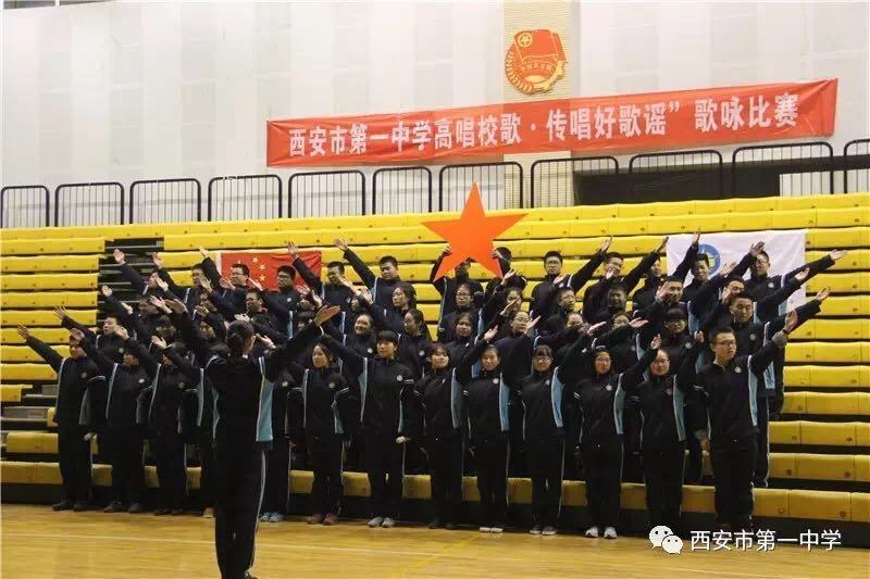 电子pg下载入口