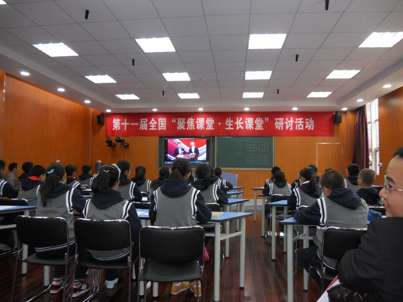 电子pg下载入口