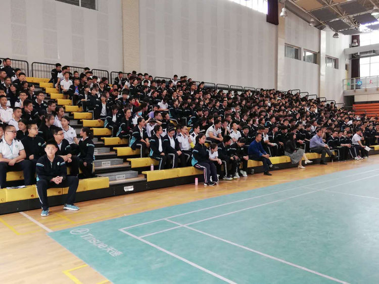 电子pg下载入口