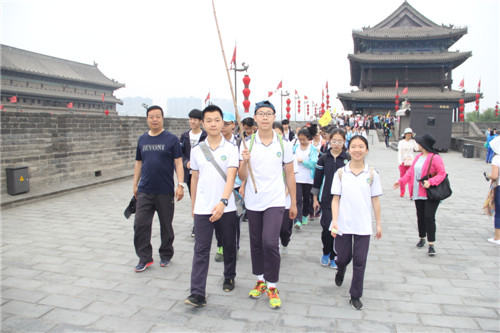 电子pg下载入口