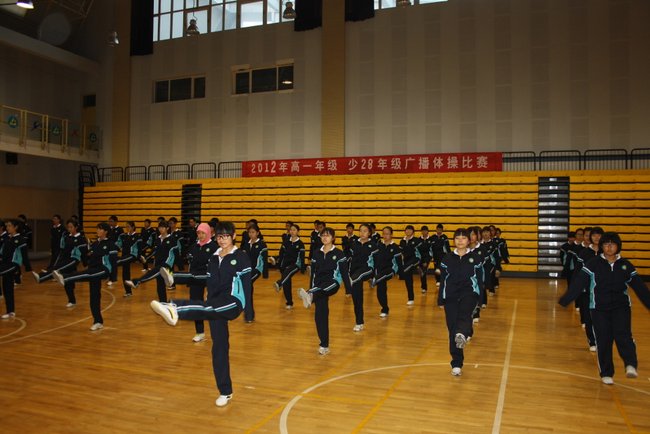 电子pg下载入口